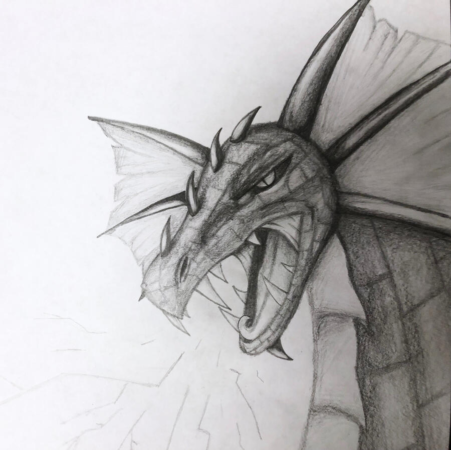 (T) Complex Portrait