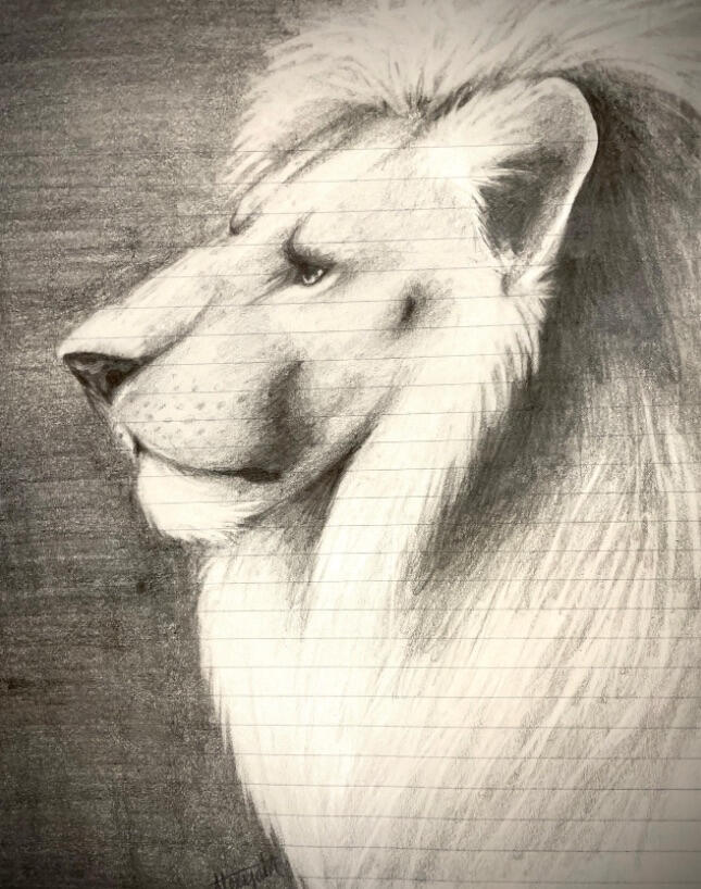 (T) Complex Portrait